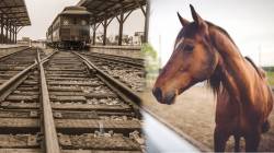 Indian Railways: घोड्यांवर धावायची भारतीय रेल्वे; काहीसा असा होता रेल्वेचा इतिहास
