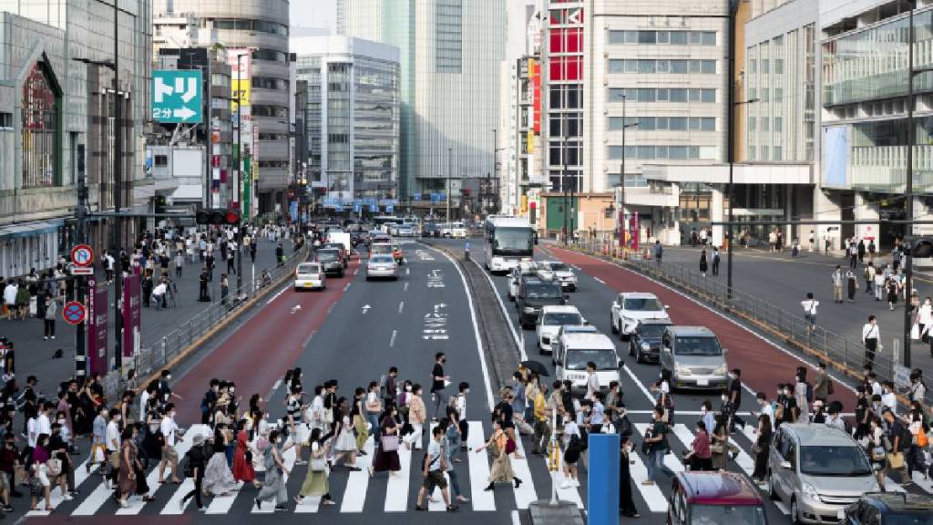 Japanese adult adoption