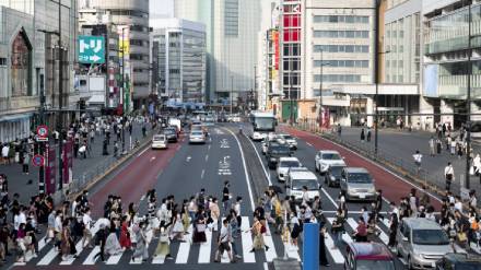 Japanese adult adoption