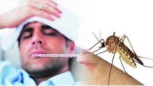 world malaria day 2023 fever diet for malaria patients for fast recovery and What to Avoid