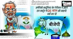 भाजपा लोकांना गायीचं शेण देतं आणि अदाणी अंबानींना…वादग्रस्त पोस्टवर अमेरिकन व्यंगचित्रकाराचं स्पष्ट उत्तर