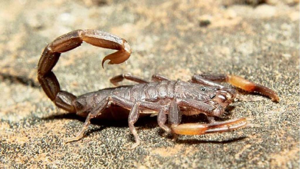 most expensive liquid most expensive liquid