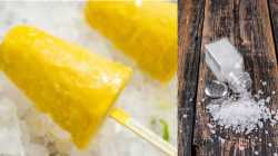 рдХреБрд▓реНрдлреА рд╡рд┐рдХреНрд░реЗрддреЗ рдмрд░реНрдлрд╛рдордзреНрдпреЗ рдореАрда рдХрд╛ рдЯрд╛рдХрддрд╛рдд? рдХрд╛рдп рдЖрд╣реЗ рдпрд╛рдорд╛рдЧреАрд▓ рд╢рд╛рд╕реНрддреНрд░реАрдп рдХрд╛рд░рдг, рдЬрд╛рдгреВрди рдШреНрдпрд╛