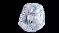 सुरतमध्ये सापडला चक्क ह्रदयासारखा धडधडणारा हिरा; जो पाहून सर्वांनाच बसला आश्चर्याचा धक्का