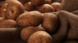 ‘या’ जातीच्या बटाट्यांना मिळतो चक्क सोन्याचा दर, किंमत ऐकून व्हाल थक्क