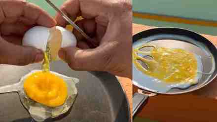 omelettes are being prepared from eggs in the sun