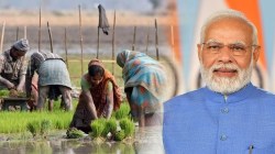 आनंदाची बातमी! पीएम किसानचा १४ वा हप्ता लवकरच येणार, ‘या’ शेतकऱ्यांना ४००० मिळणार, यादीत तुमचंही नाव आहे ना?