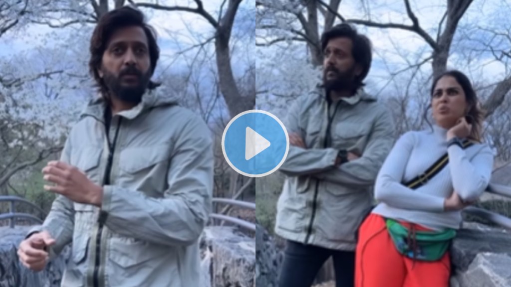 Riteish Deshmukh, Genelia Deshmukh