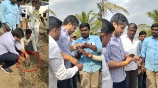 Rohit Pawar saves Bird