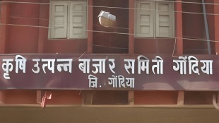 241 candidates 126 seats of market committee gondiya