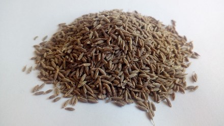 cumin spice commodity market