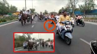 Horse cart race on Delhi road Cops arrest 10 seize four horses
