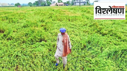 farmer