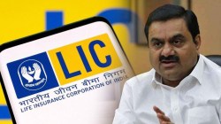 अदाणी समूहातील एलआयसीच्या शेअर्समध्ये वाढ; मूल्य ४४,६७० कोटींवर पोहोचले