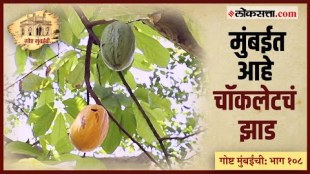 Gosht Mumbai Chi Ep 108 rare trees preserving the Living Heritage of Mumba part 1