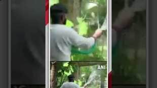 वडोदरा येथील प्राणीसंग्रहालयातील वन्यजीवांना उन्हापासून 'असा' मिळतोय दिलासा |