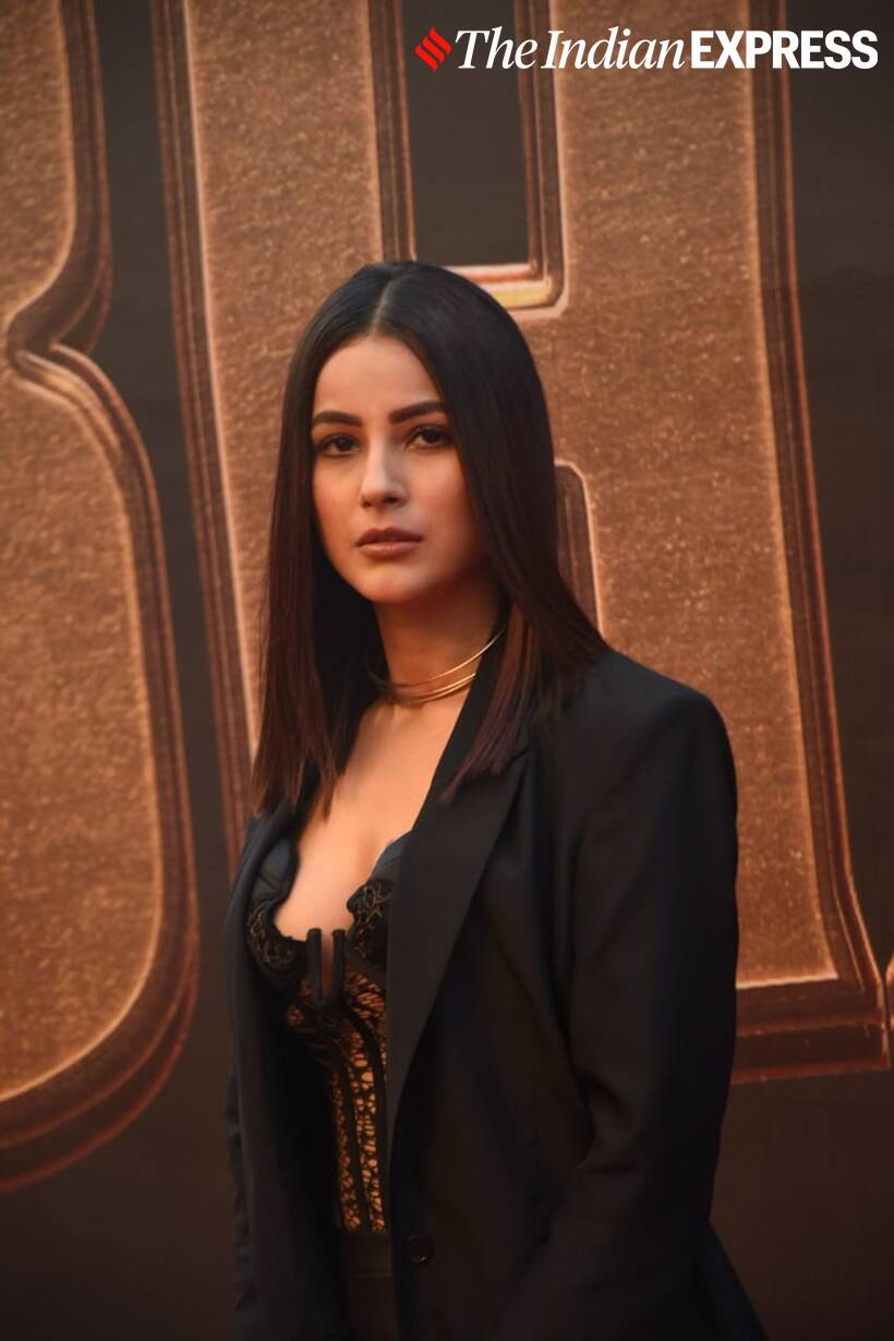 shehnaaz