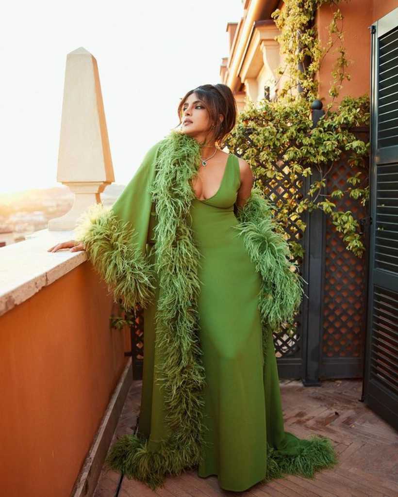 nick, priyanka