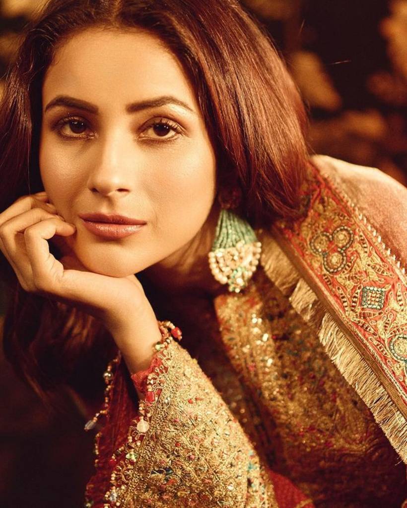 shehnaaz gill