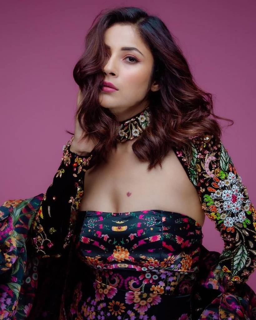 shehnaaz gill