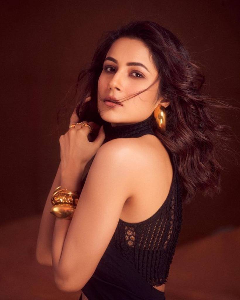 shehnaaz gill