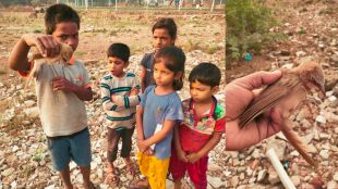 little children help bird to fly