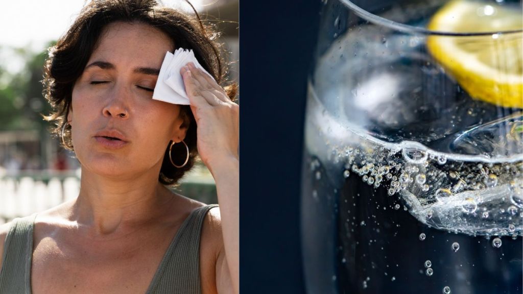 Ayurvedic Remedies and Food to Combat the heat wave Ayurvedic Remedies and Food to Combat the heat wave