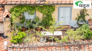 rooftop garden