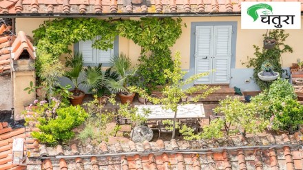 rooftop garden