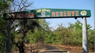 melghat tiger reserve
