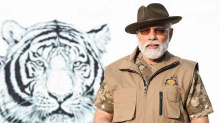 pm narendra modi pm narendra modi