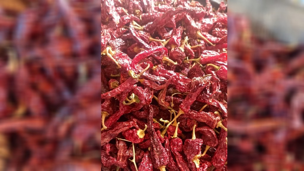 red chili navi mumbai