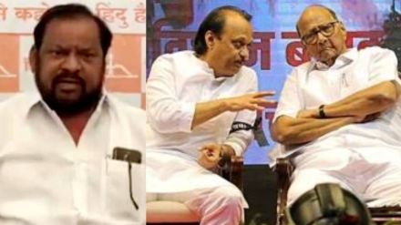 shahaji bapu patil on sharad pawar and ajit pawar plan