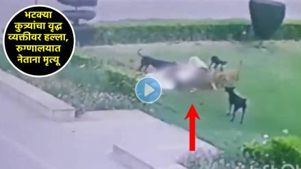 stray dog attacked man in aligarh muslim university