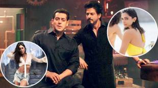 tiger vs pathaan update