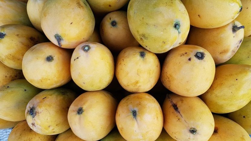 why are mangoes soaked in water before eating