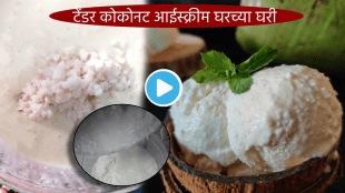 Video Naturals Special Tender Coconut, Ice Cream recipe at Home, 30 second Marathi Recipe, Easy Kitchen Tips