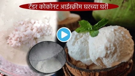 Video Naturals Special Tender Coconut, Ice Cream recipe at Home, 30 second Marathi Recipe, Easy Kitchen Tips