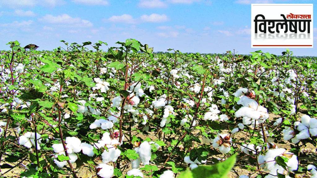 Cotton Farming Cotton Farming