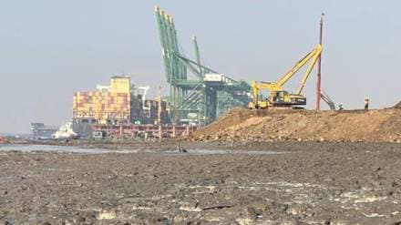 Biodiversity, Navi Mumbai, JNPT, Uran, Environment