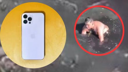 Iphone toilet viral news