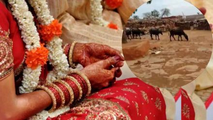 Gwalior committed fraud news