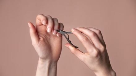 Human Body Facts Human Body Facts