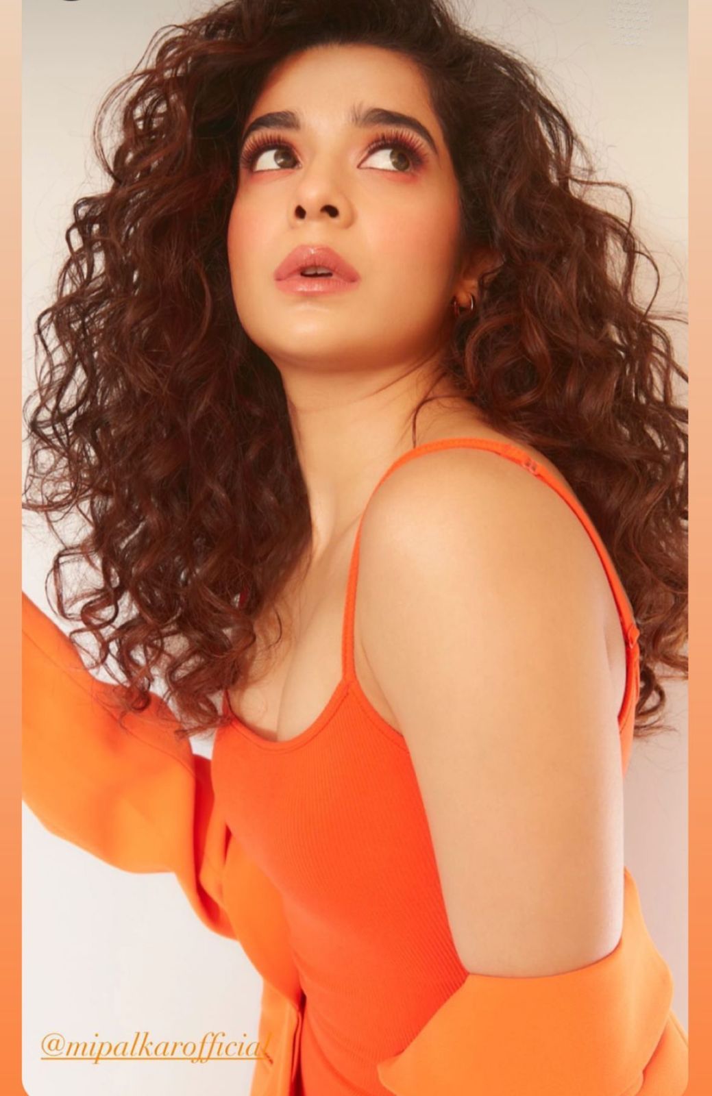 Mithilapalkar6