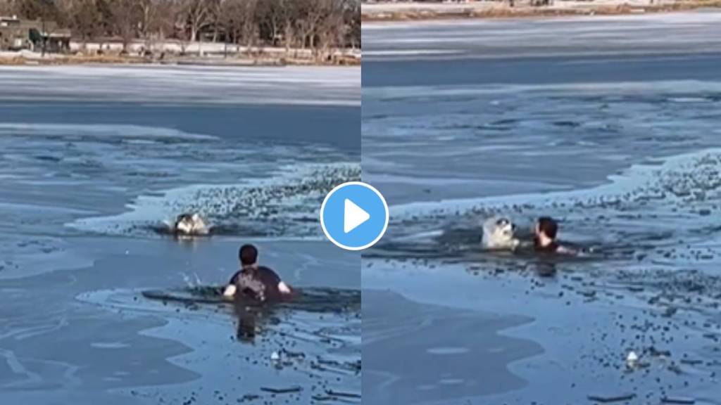 Man jumps into frozen lake to save a dog video