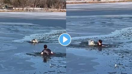 Man jumps into frozen lake to save a dog video