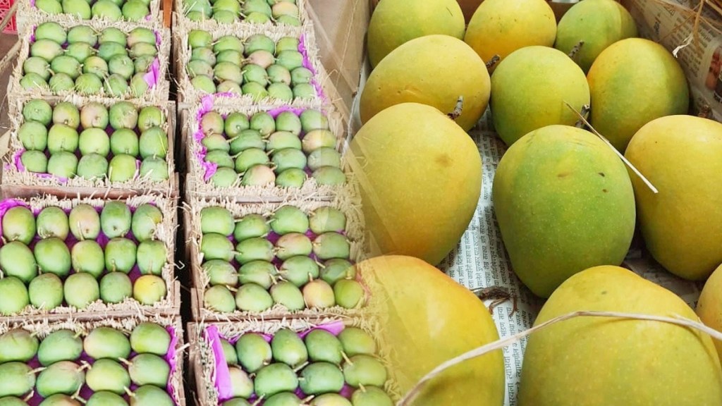 25 crore mango order in zepto online grocerry delivery app