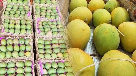 25 crore mango order in zepto online grocerry delivery app