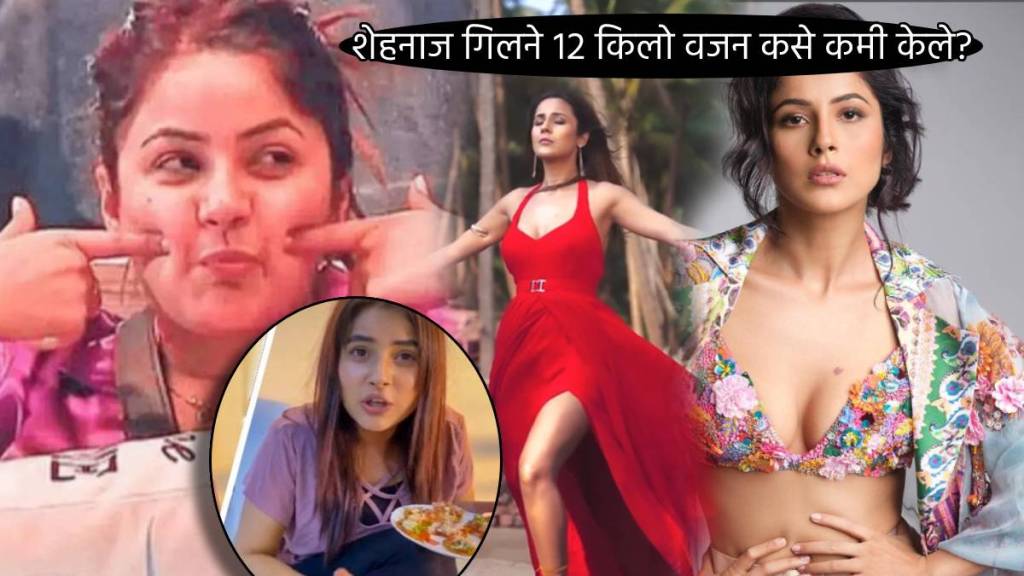 Shehnaaz Gill Weight Loss, How Bigg Boss Star Reduced 12 Kgs, Three Drinks And Diet Plan, Got hot Bold Look,
