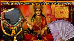 लक्ष्मी विष्णू कृपेने २४ तासात ‘या’ ३ राशींचे आयुष्य होणार सुवर्णमय? अपार पैसा, मान व ‘ही’ खास गोष्ट देऊ शकते सुख